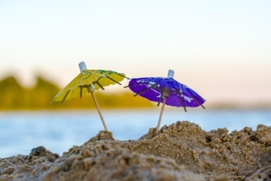 Sommer im Institut für Energiearbeit Newsletter Sommer