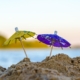 Newsletter Sommer